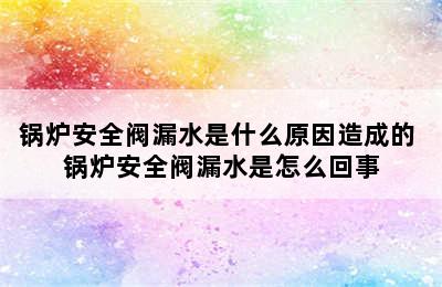 锅炉安全阀漏水是什么原因造成的 锅炉安全阀漏水是怎么回事